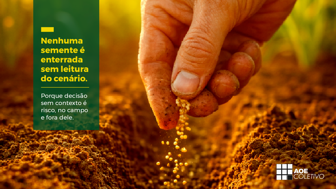 Decisão sem contexto é risco, no campo e fora dele.